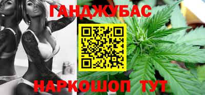 гидра Краснознаменск