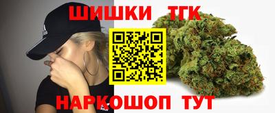 гидра Краснознаменск