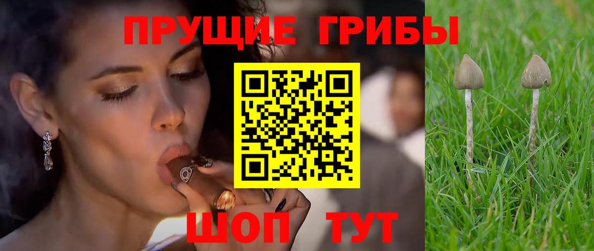 Галлюциногенные грибы мухоморы  Псилоцибиновые грибы мухоморы  Ялта  Вход с VPN 
